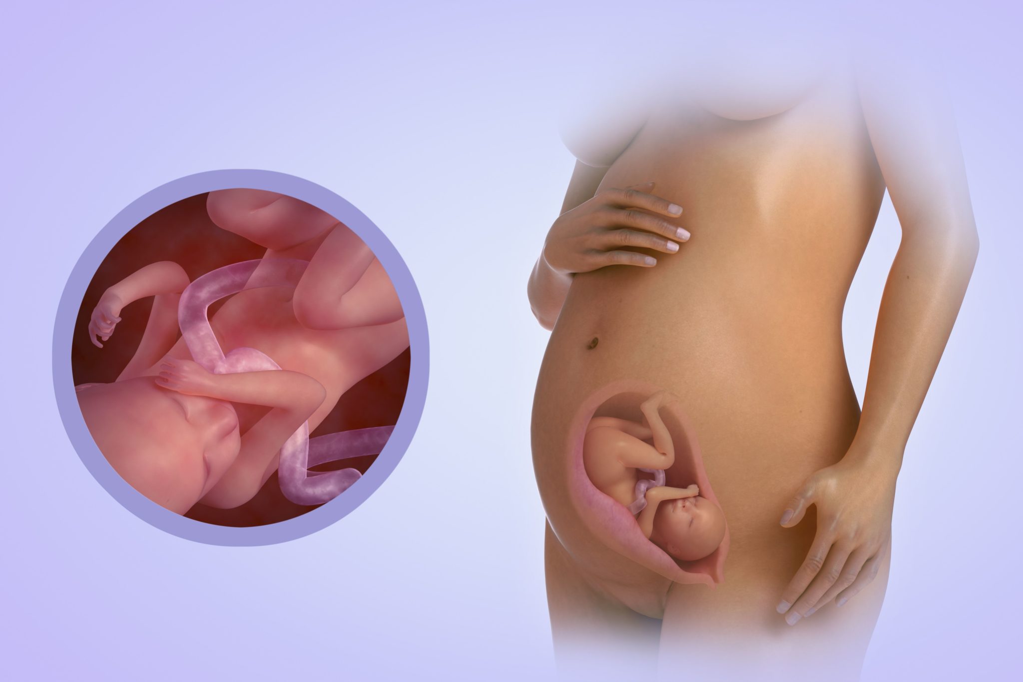 23 неделя беременности от зачатия
