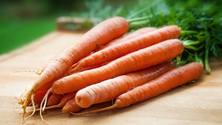 Советы по уходу за рассадой моркови